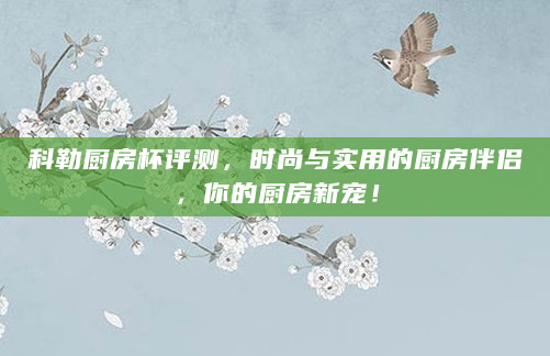 科勒厨房杯评测，时尚与实用的厨房伴侣，你的厨房新宠！