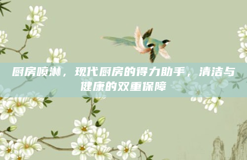厨房喷淋，现代厨房的得力助手，清洁与健康的双重保障