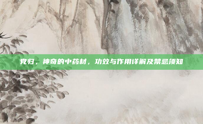 党归，神奇的中药材，功效与作用详解及禁忌须知