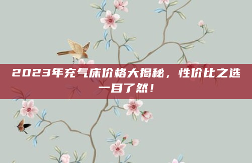 2023年充气床价格大揭秘，性价比之选一目了然！