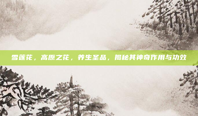 雪莲花，高原之花，养生圣品，揭秘其神奇作用与功效