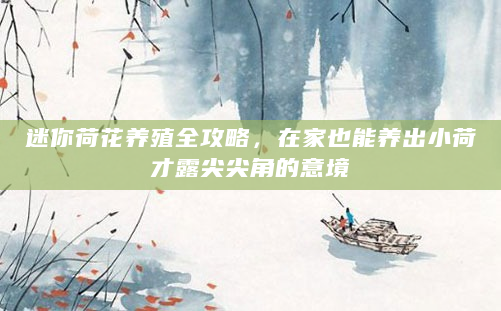 迷你荷花养殖全攻略，在家也能养出小荷才露尖尖角的意境