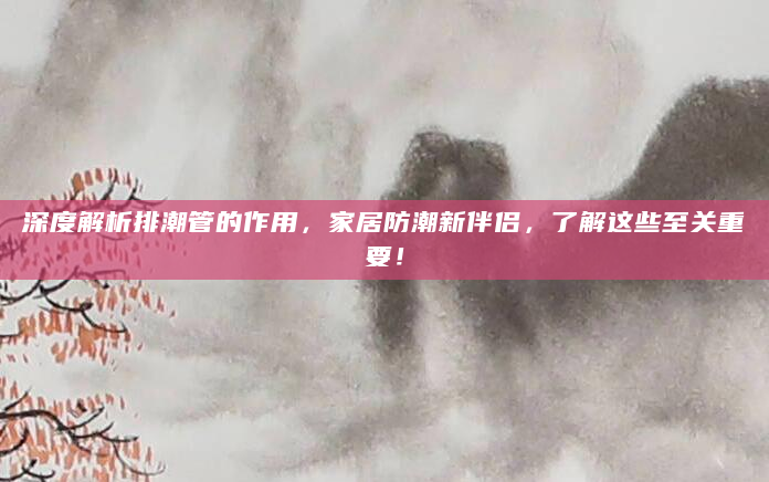 深度解析排潮管的作用，家居防潮新伴侣，了解这些至关重要！