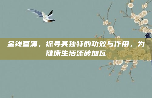 金钱菖蒲，探寻其独特的功效与作用，为健康生活添砖加瓦