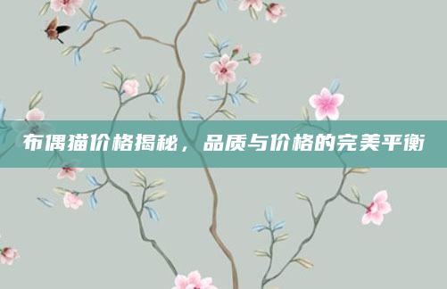 布偶猫价格揭秘，品质与价格的完美平衡