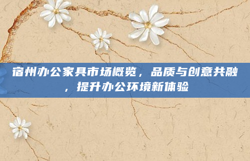 宿州办公家具市场概览，品质与创意共融，提升办公环境新体验