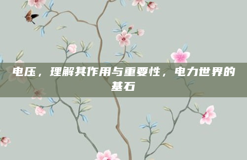 电压，理解其作用与重要性，电力世界的基石