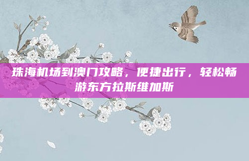 珠海机场到澳门攻略，便捷出行，轻松畅游东方拉斯维加斯
