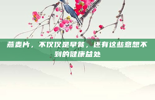 燕麦片，不仅仅是早餐，还有这些意想不到的健康益处