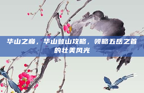 华山之巅，华山登山攻略，领略五岳之首的壮美风光