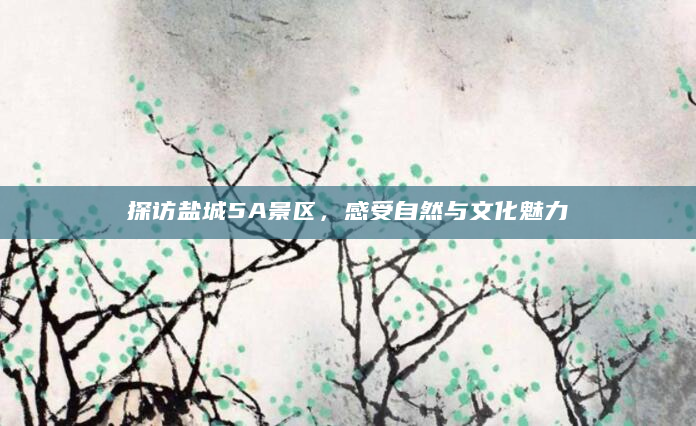 探访盐城5A景区，感受自然与文化魅力