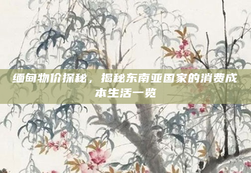缅甸物价探秘，揭秘东南亚国家的消费成本生活一览