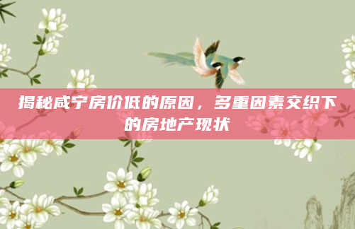 揭秘咸宁房价低的原因，多重因素交织下的房地产现状