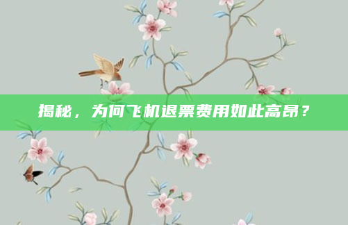 揭秘，为何飞机退票费用如此高昂？