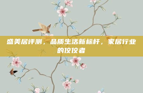 盛美居评测，品质生活新标杆，家居行业的佼佼者