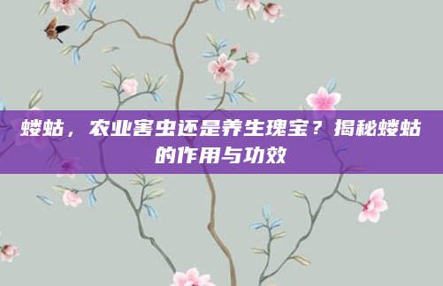 蝼蛄，农业害虫还是养生瑰宝？揭秘蝼蛄的作用与功效