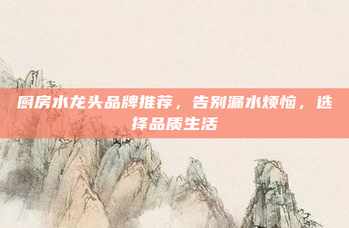 厨房水龙头品牌推荐，告别漏水烦恼，选择品质生活