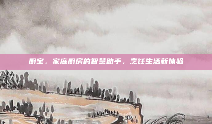 厨宝，家庭厨房的智慧助手，烹饪生活新体验