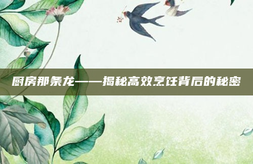 厨房那条龙——揭秘高效烹饪背后的秘密