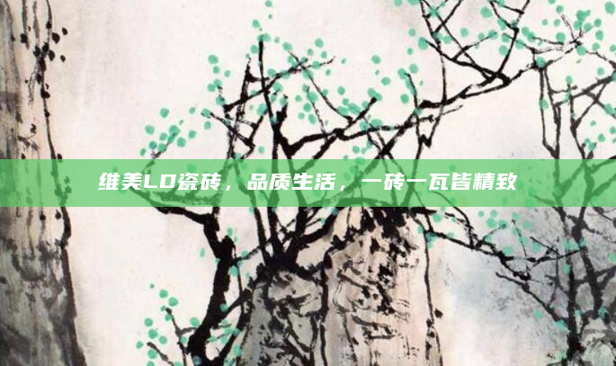 维美LD瓷砖，品质生活，一砖一瓦皆精致