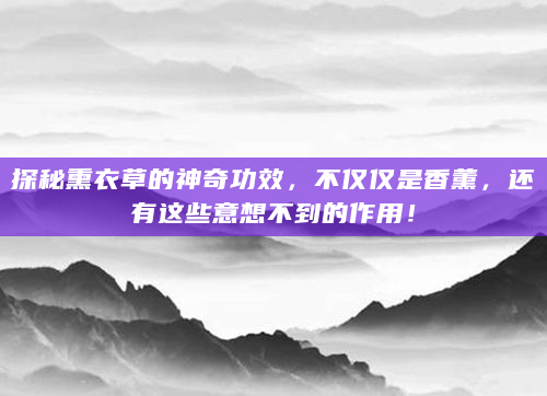 探秘熏衣草的神奇功效，不仅仅是香薰，还有这些意想不到的作用！