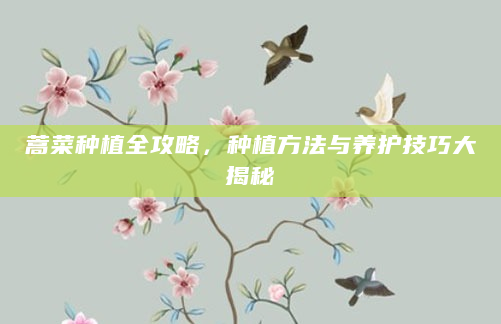 蒿菜种植全攻略，种植方法与养护技巧大揭秘