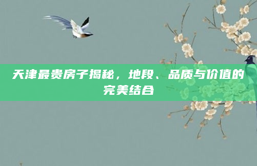 天津最贵房子揭秘，地段、品质与价值的完美结合
