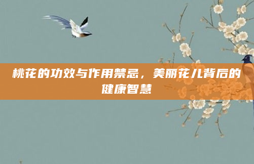 桃花的功效与作用禁忌，美丽花儿背后的健康智慧