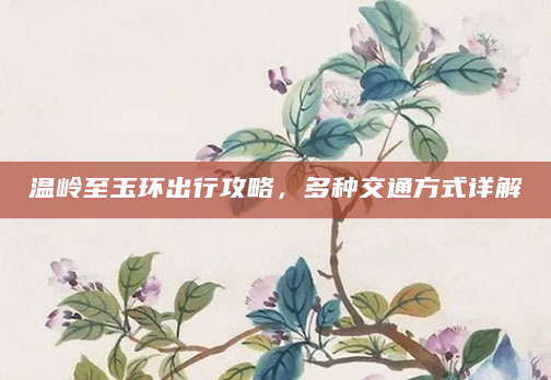 温岭至玉环出行攻略，多种交通方式详解