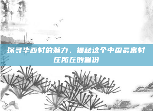 探寻华西村的魅力，揭秘这个中国最富村庄所在的省份