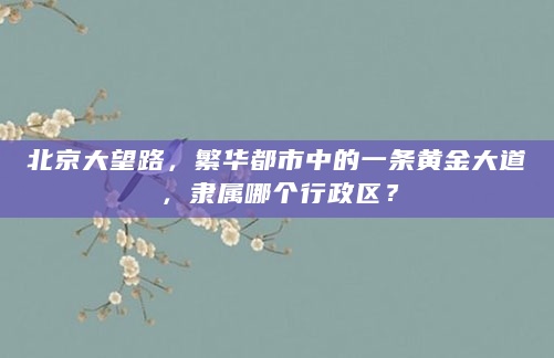 北京大望路，繁华都市中的一条黄金大道，隶属哪个行政区？