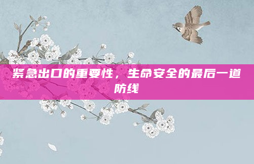 紧急出口的重要性，生命安全的最后一道防线
