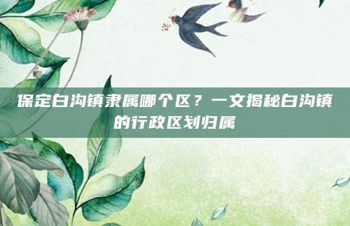 保定白沟镇隶属哪个区？一文揭秘白沟镇的行政区划归属