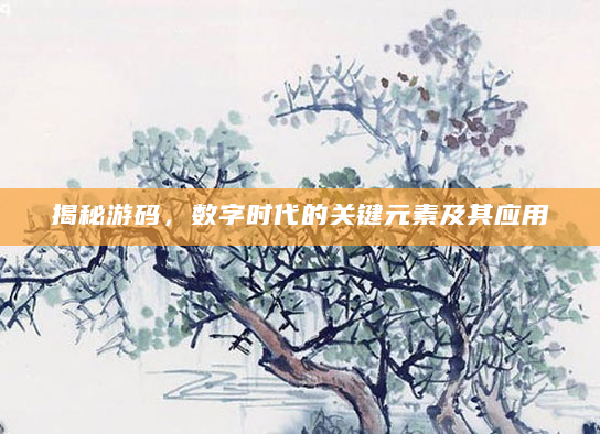 揭秘游码，数字时代的关键元素及其应用
