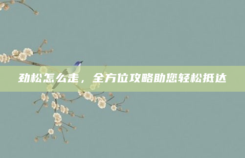 劲松怎么走，全方位攻略助您轻松抵达