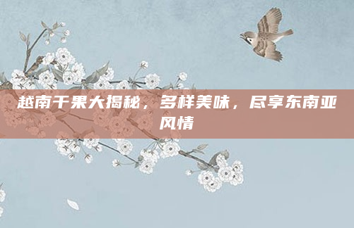 越南干果大揭秘，多样美味，尽享东南亚风情