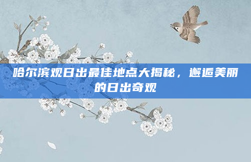 哈尔滨观日出最佳地点大揭秘，邂逅美丽的日出奇观