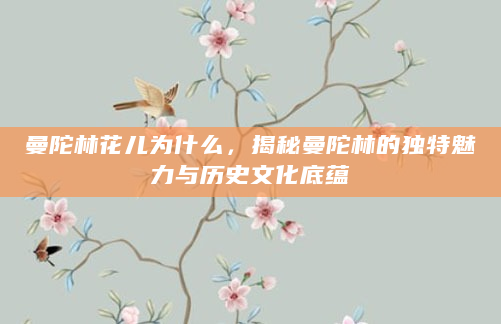 曼陀林花儿为什么，揭秘曼陀林的独特魅力与历史文化底蕴