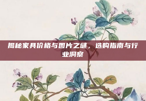 揭秘家具价格与图片之谜，选购指南与行业洞察