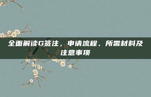 全面解读G签注，申请流程、所需材料及注意事项