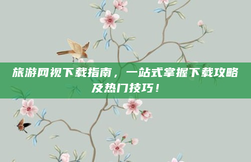 旅游网视下载指南，一站式掌握下载攻略及热门技巧！