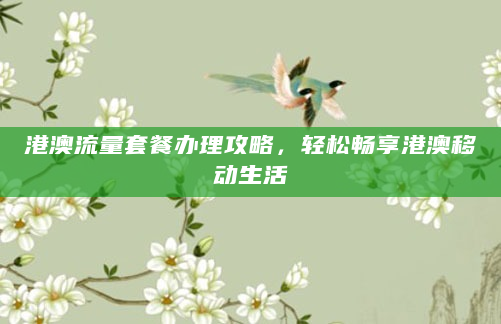 港澳流量套餐办理攻略，轻松畅享港澳移动生活