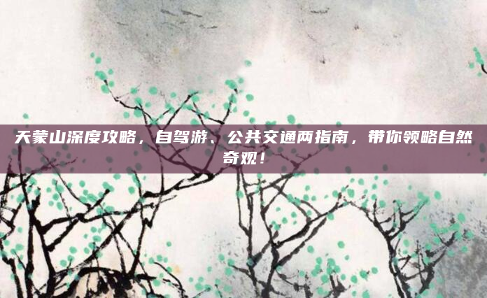 天蒙山深度攻略，自驾游、公共交通两指南，带你领略自然奇观！