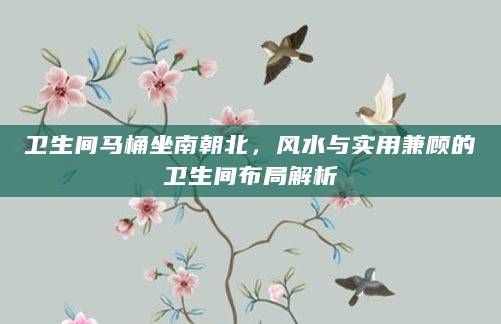 卫生间马桶坐南朝北，风水与实用兼顾的卫生间布局解析