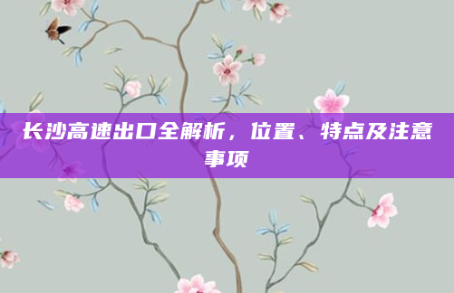 长沙高速出口全解析，位置、特点及注意事项