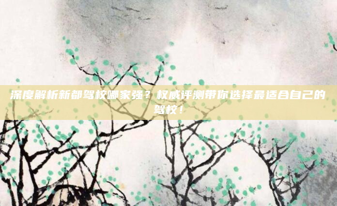 深度解析新都驾校哪家强？权威评测带你选择最适合自己的驾校！