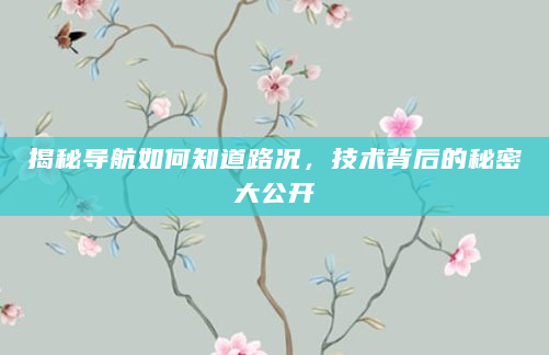揭秘导航如何知道路况，技术背后的秘密大公开