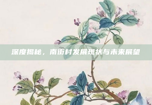 深度揭秘，南街村发展现状与未来展望