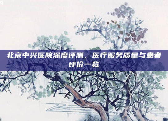 北京中兴医院深度评测，医疗服务质量与患者评价一览