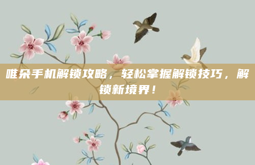 唯朵手机解锁攻略，轻松掌握解锁技巧，解锁新境界！